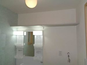 Ｂｉｒｄｉｅ２２ B0101号-11