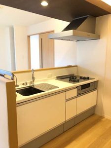 コオリナテラス A0101号-3