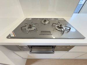 コオリナテラス A0201号-4