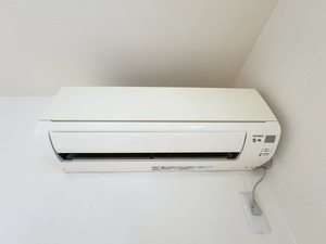 コオリナテラス A0201号-11