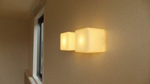 ドムースｆｉｆｔｙ 0102号-2