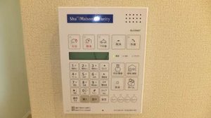 ドムースｆｉｆｔｙ 0102号-13