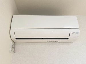 パーシモン A0205号-11