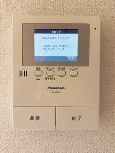 パーシモン A0205号-12