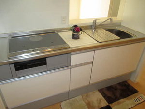 Ｌｉｎｏ（リノ） A0102号-15