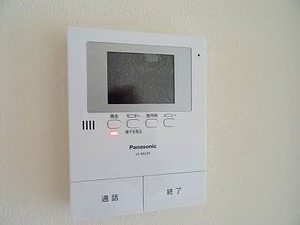 マンハイムドリット A0202号-12