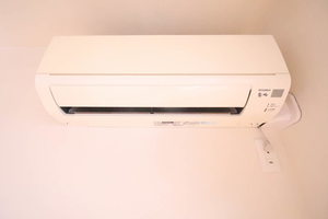 フィエスタ A0101号-9