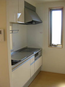 シャイン A0201号-8