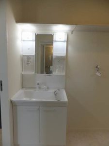 シャーメゾン　ウイングスター 0105号-5