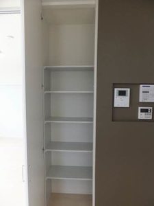 シャーメゾン　ウイングスター 0105号-11