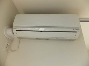 シャーメゾン　ウイングスター 0105号-12