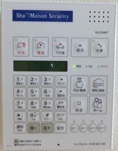 シャーメゾン　ウイングスター 0201号-2