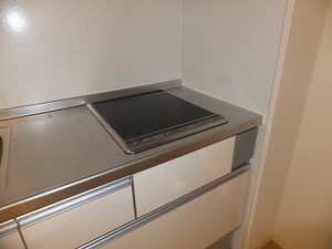 グランベレオ千代田 A0103号-4