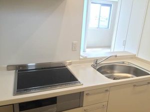 シャーメゾン　レ・フレール　Ⅳ A102号-3