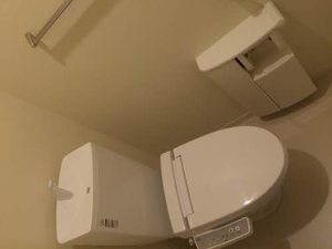 シャーメゾン　レ・フレール　Ⅳ A102号-13