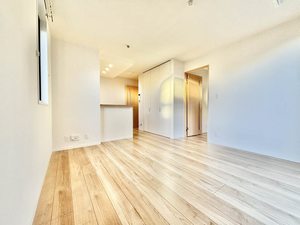 フェリシード A0105号-2