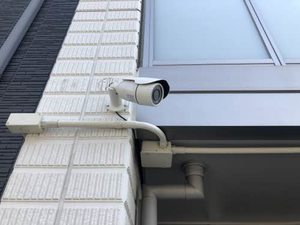 ユキコート椿 A0305号-3