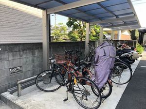 ユキコート椿 A0305号-4