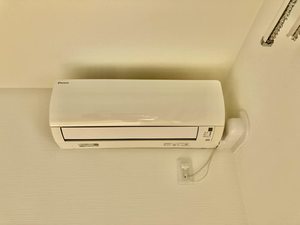 ユキコート椿 A0305号-14