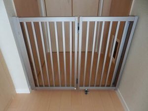 ボン ジュルネ B棟 0113号-7