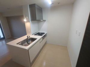 シャーメゾン　アイシス A0303号-5