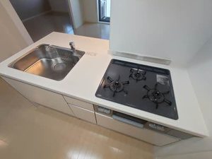 シャーメゾン　アイシス A0303号-15