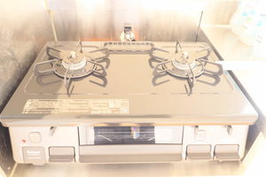 グリーンハイム C棟 A0201号-12