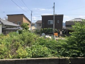 フレグランス麻植Ⅱ A0102号-12