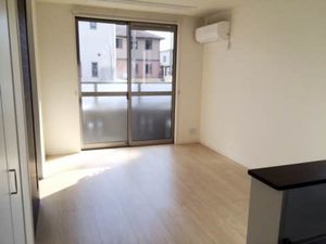 ブラン・ペーシュⅡ A0101号-2