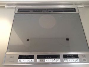 ブラン・ペーシュⅡ A0101号-4