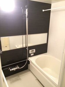 ブラン・ペーシュⅡ A0101号-9