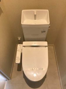 アルコイリース 0102号-10