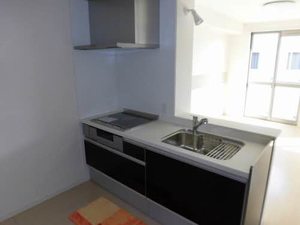 メゾン・ド・アンジュ A0205号-3