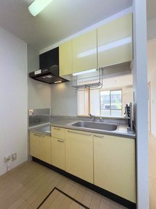 デュナミス　Ａ棟 A0101号-3