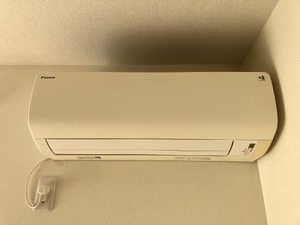 ドゥーズ　ガルテン A0101号-11