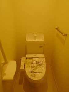 Ｆｏｒｅｓｔ　Ａｋｅｂｏｎｏ A0303号-3