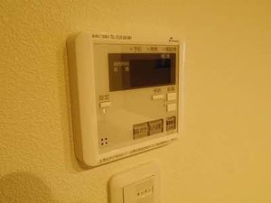 Ｆｏｒｅｓｔ　Ａｋｅｂｏｎｏ A0303号-11