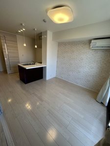 ルミナス　コート A0206号-10