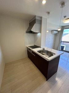 ルミナス　コート A0206号-11