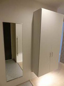 Ｏａｋ　Ｆｏｒｅｓｔ A0302号-5