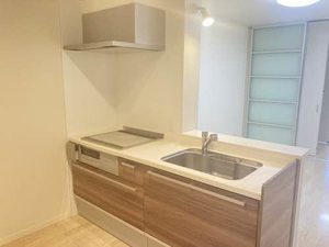 シャーメゾン　プルミエ A0101号-3