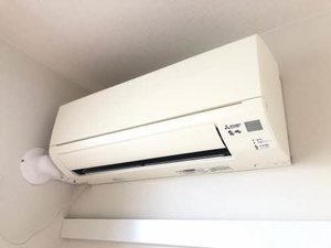 フェリページュ A0202号-9