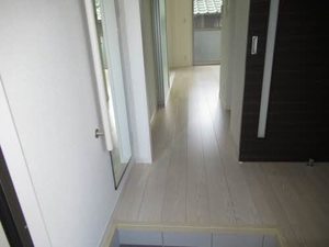 Ｓｕｎｎｙｃｏｕｒｔ　Ｍ A0102号-2