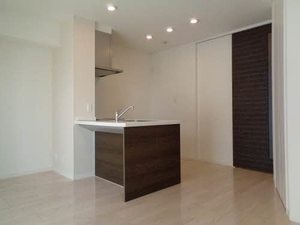 グランマスト栄町Ａ棟 A0305号-3