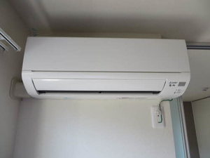 ウィステリア A0203号-11