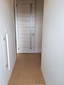 ルイズ・オディエ A0101号-2