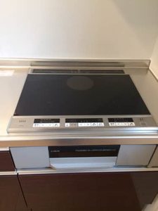 ルイズ・オディエ A0101号-6