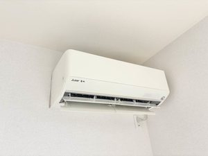 アイリスⅡ A0203号-11