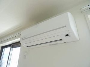 Ｓｏｐｈｉａ　Ｋ．Ｓ A0201号-14