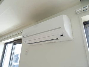 Ｓｏｐｈｉａ　Ｋ．Ｓ A0202号-14